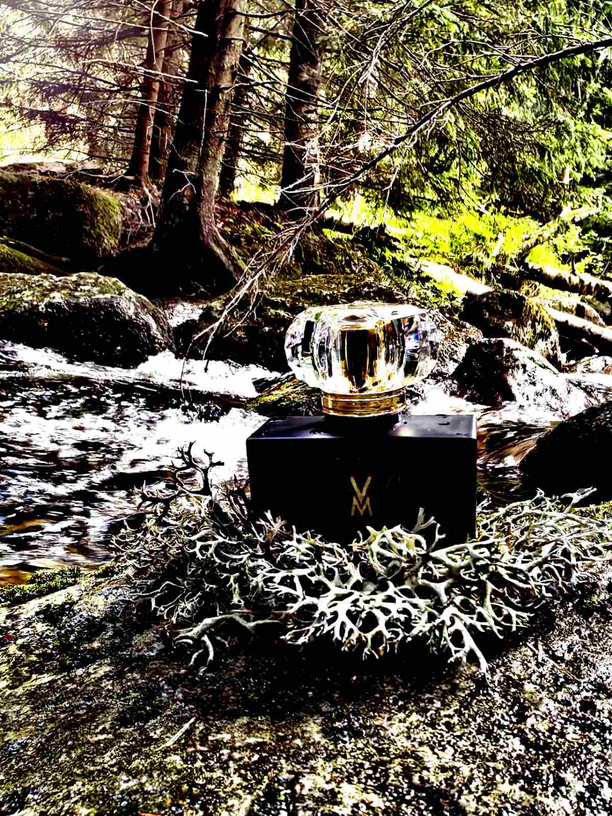 VM PARFUME EXTRACT